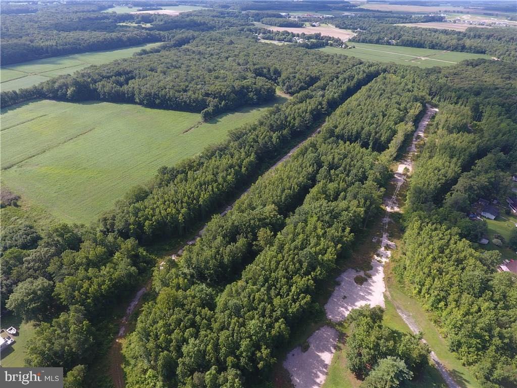 54 LOTS HAMPDEN PARK