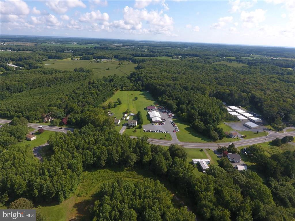 54 LOTS HAMPDEN PARK