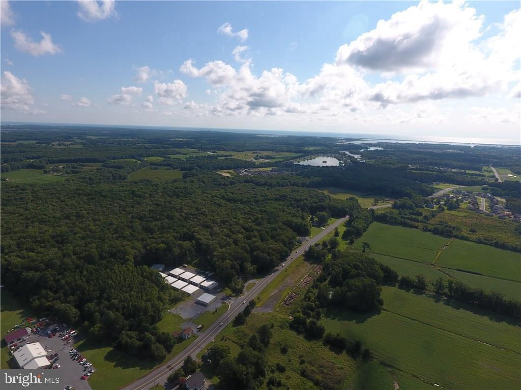 54 LOTS HAMPDEN PARK