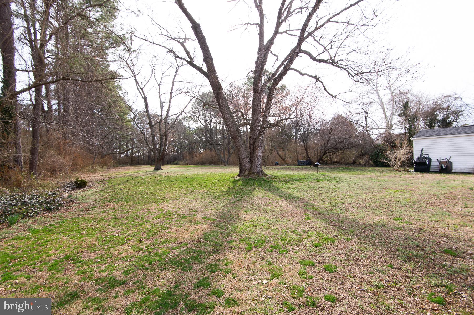 EAST NEW MARKET - Residential