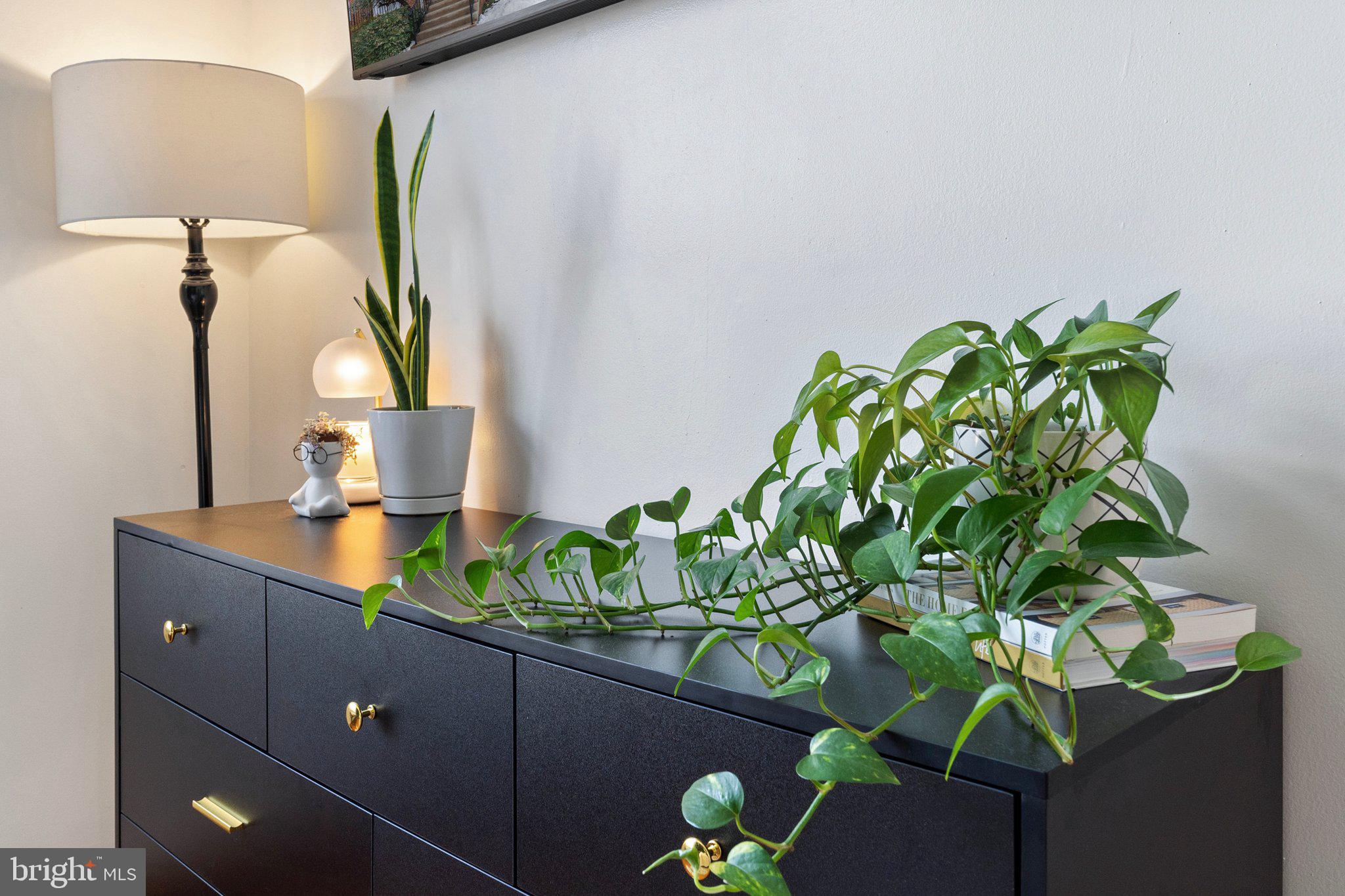 MIRROR RIDGE - Residential