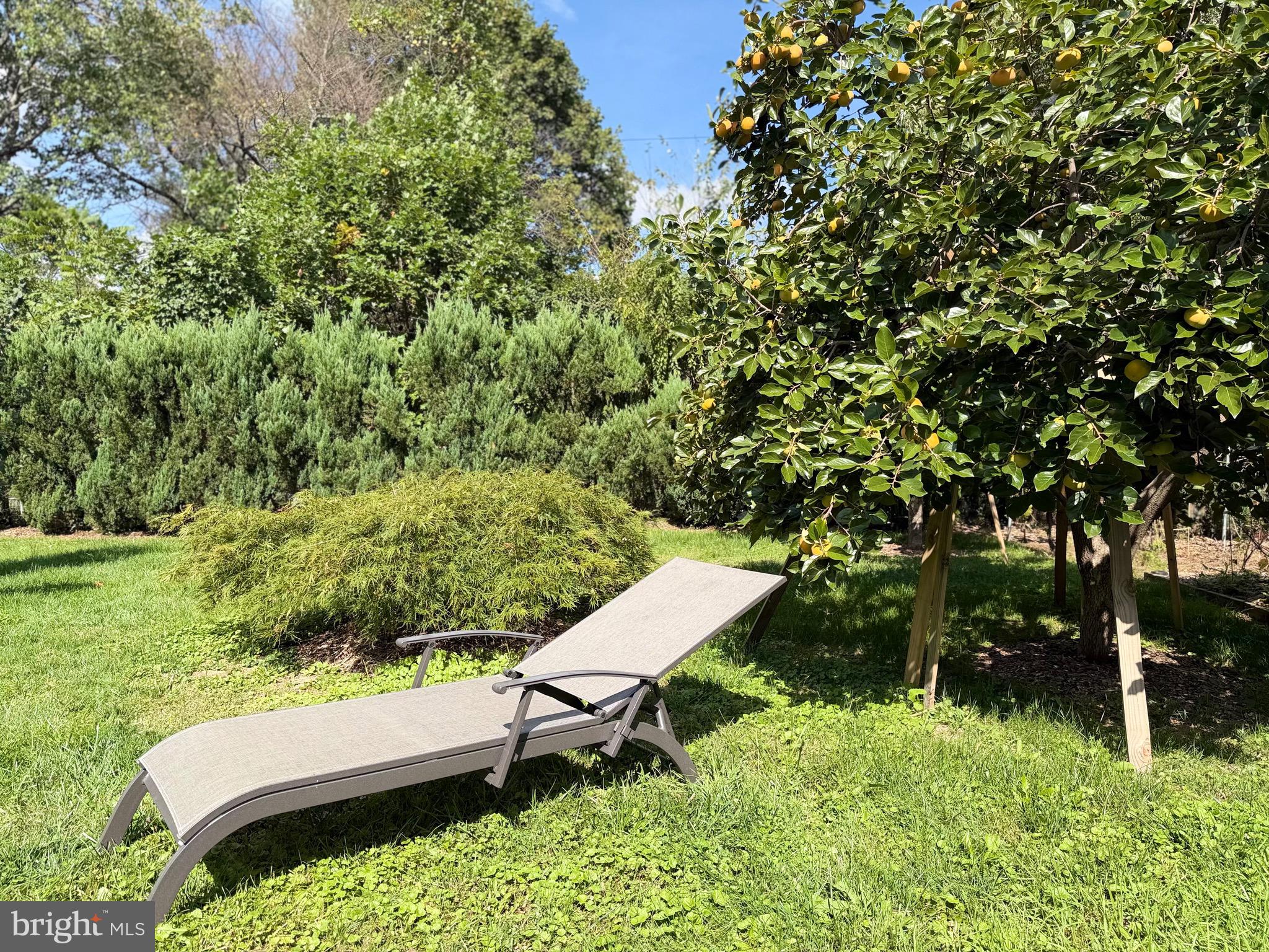 PIKESVILLE - Residential