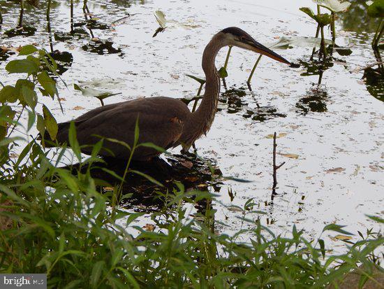 OAKLAND MILLS - Residential