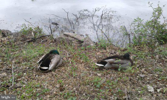 OAKLAND MILLS - Residential