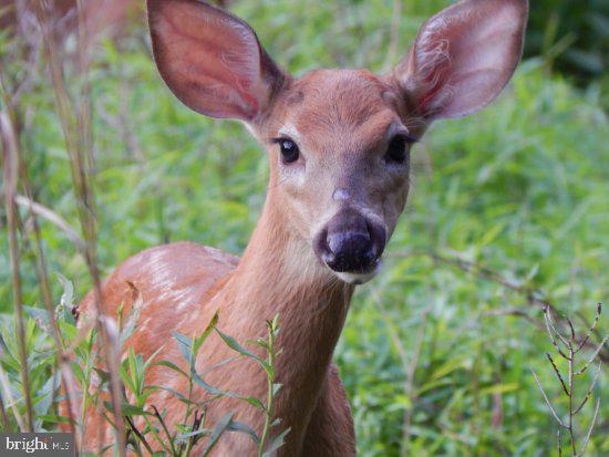 OAKLAND MILLS - Residential