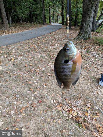 OAKLAND MILLS - Residential