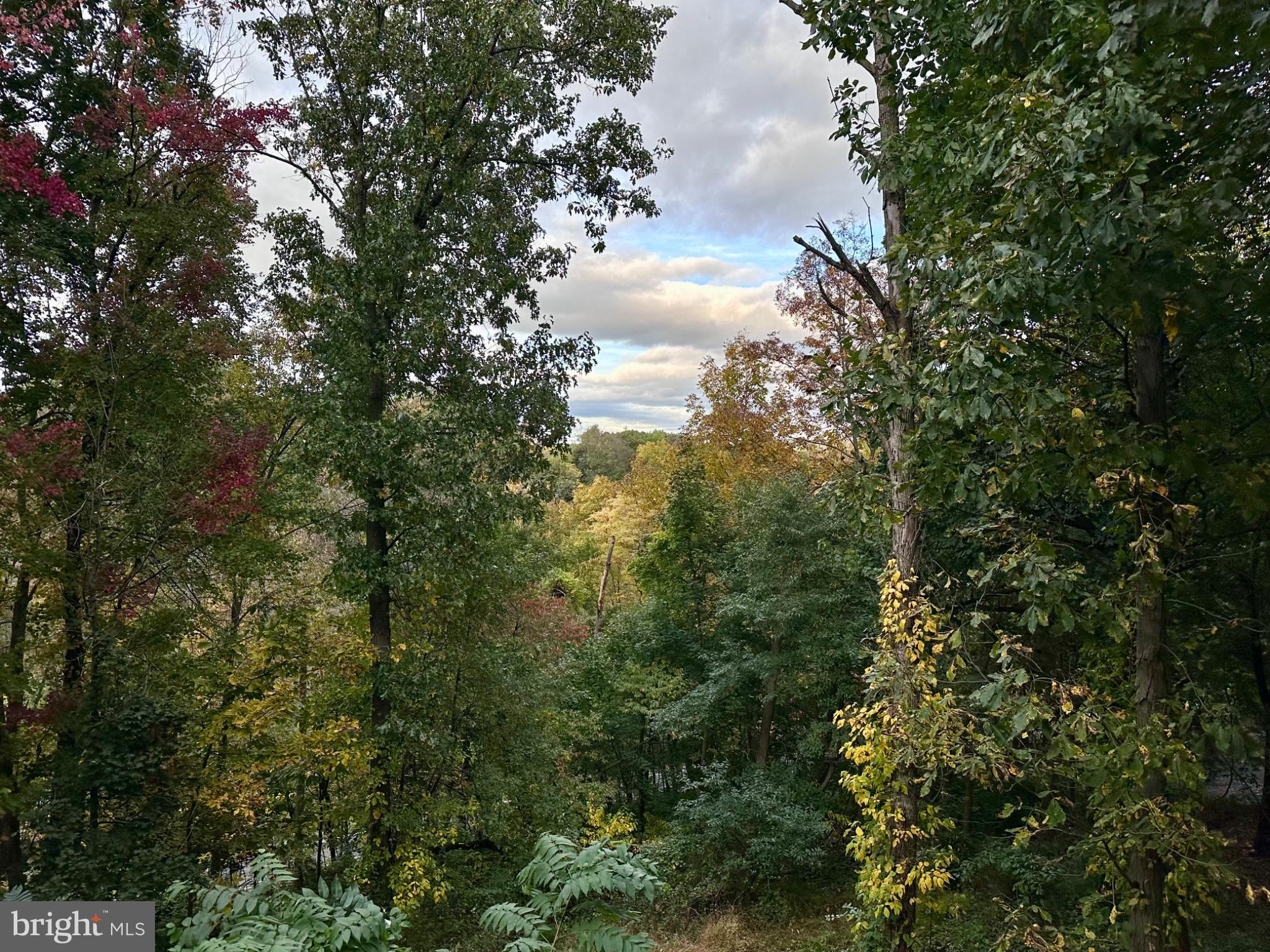 615 BELLEMANS CHURCH ROAD