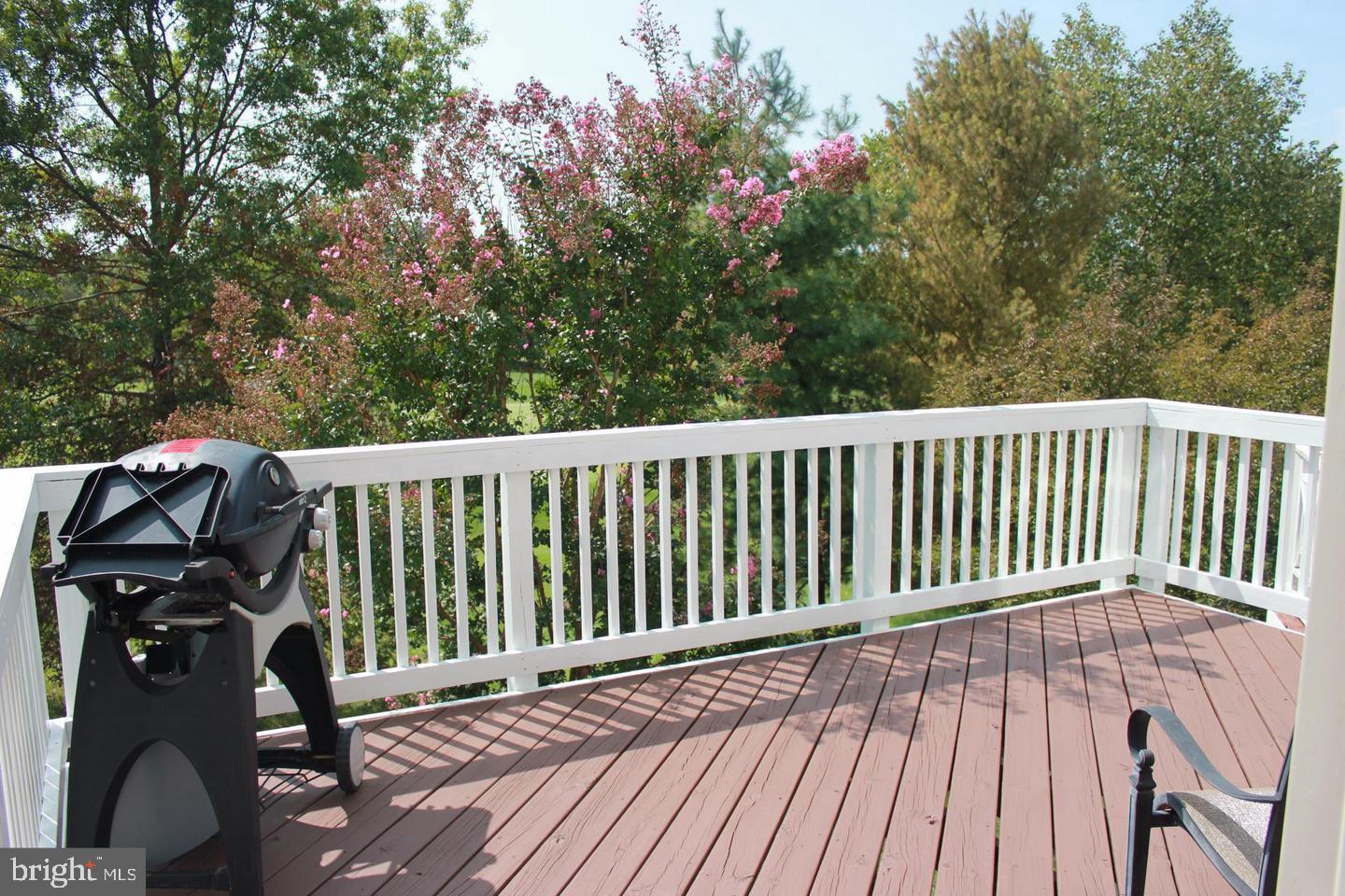 PIEDMONT - Residential Lease