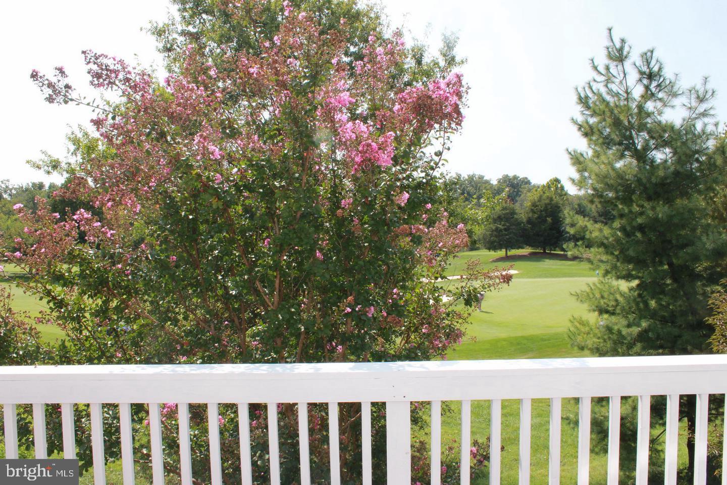 PIEDMONT - Residential Lease