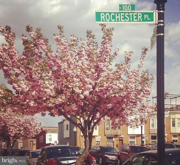 PATTERSON PARK - Residential