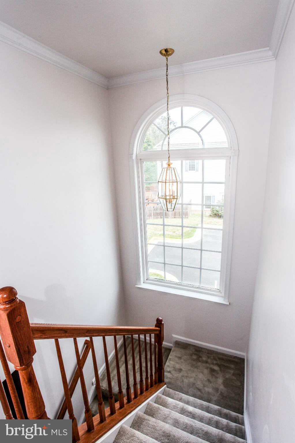 FOREST PARK - Residential