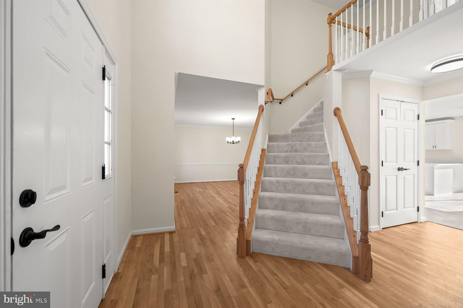 NAZARIO WOODS - Residential