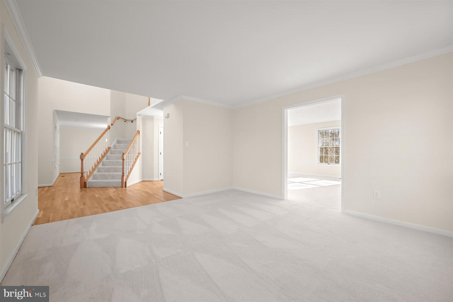 NAZARIO WOODS - Residential