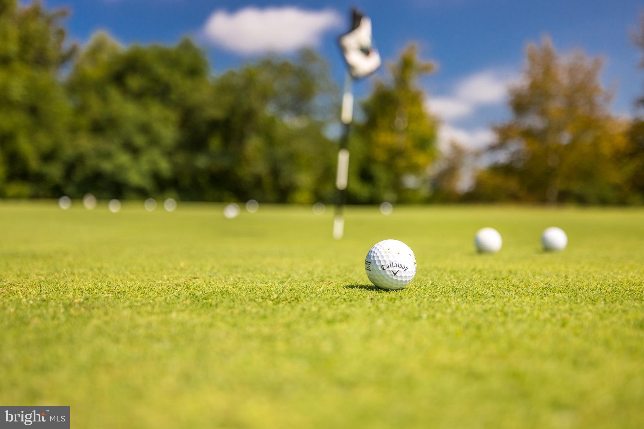 RASPBERRY FALLS - Residential