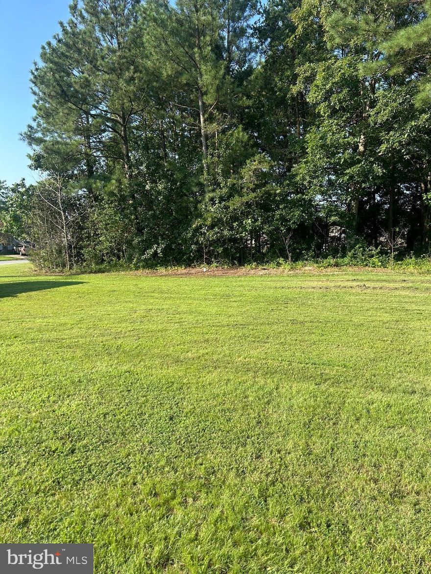 Discover the perfect canvas for your next home on this pristine, level 1+ acre parcel.  Thoughtfully center your home to quick and accessible amenities in the county. This buildable lot offers a rare combination of natural beauty and modern convenience.  Fruit trees were planted just a couple of years ago, (9 apple trees, varying types and 2 mature plum trees) This can add charm and the promise of seasonal harvests. With public water, sewer, electric, and Fios already accessible at the property line, this lot is ready for your vision—whether it's a small starter home, a peaceful retreat, or an investment in Southern Maryland. Enjoy the ease of a flat terrain that simplifies construction, all within a tranquil setting that still keeps you connected.