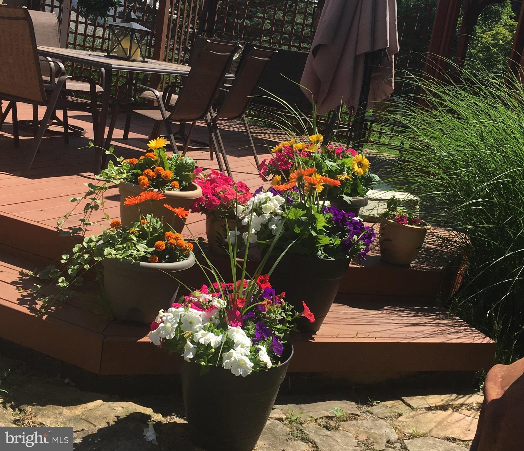 MARCHWOOD - Residential