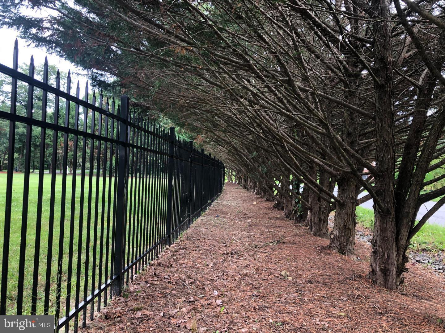 LEWIS PARK - Residential Lease