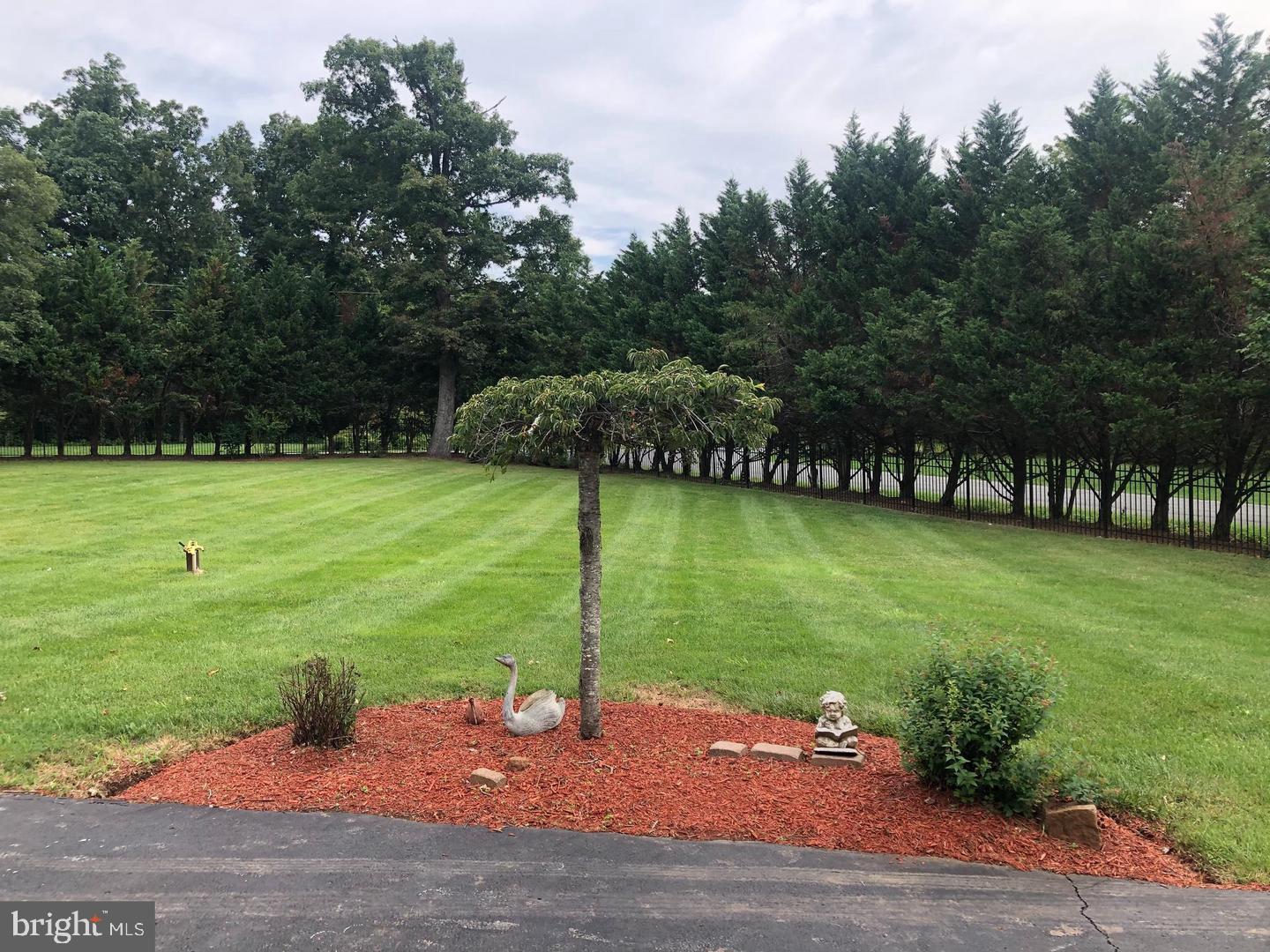 LEWIS PARK - Residential Lease