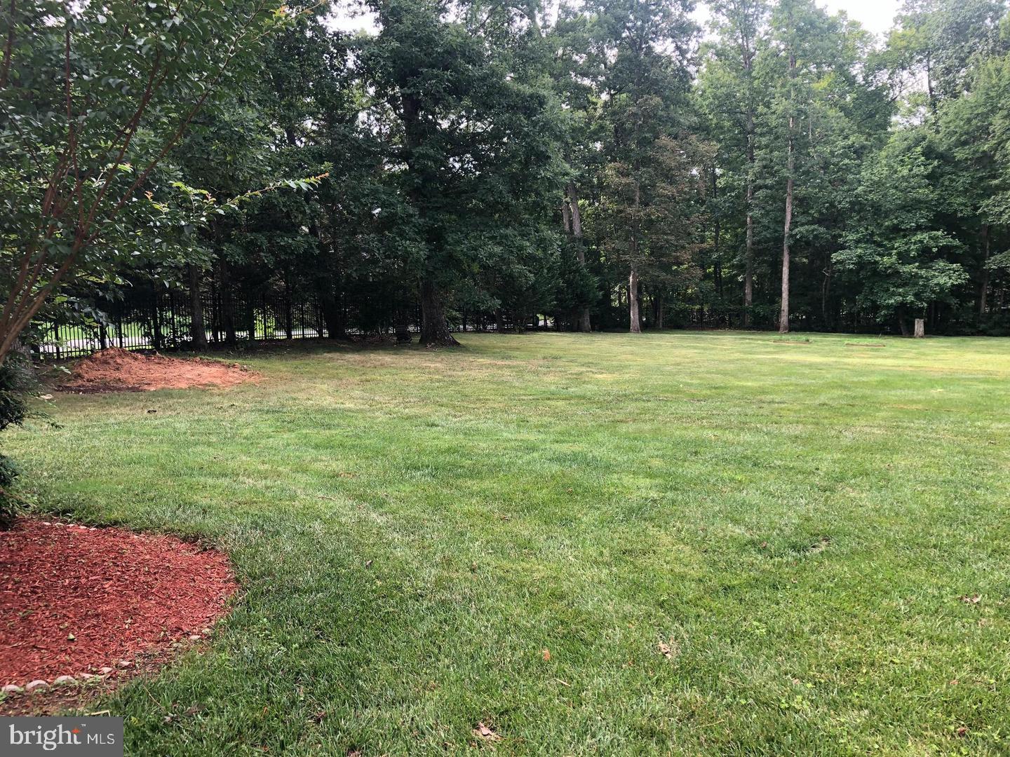 LEWIS PARK - Residential Lease