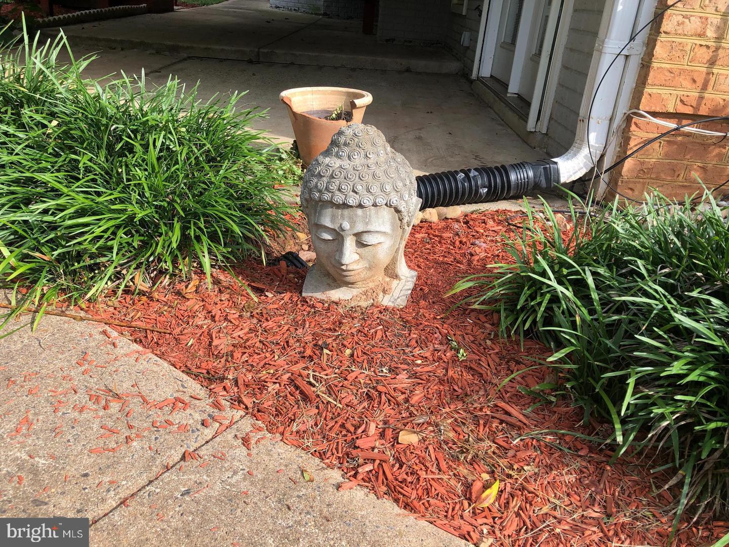 LEWIS PARK - Residential Lease