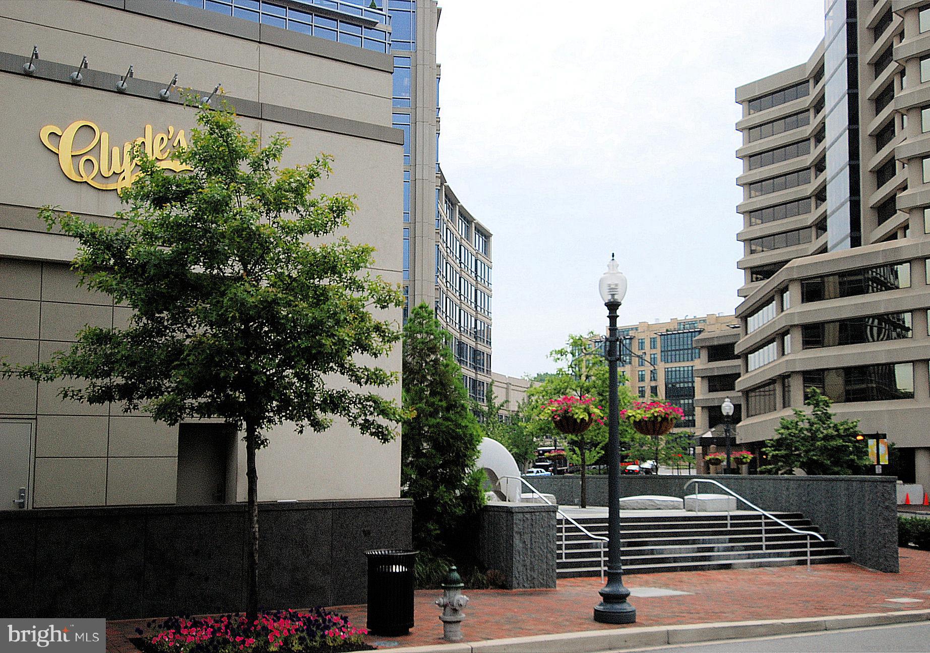 CHEVY CHASE VILLAGE - Residential