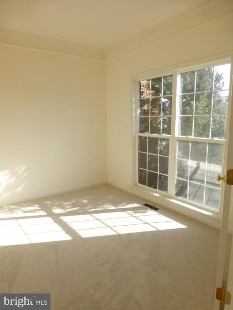 MADISON GROVE - Residential