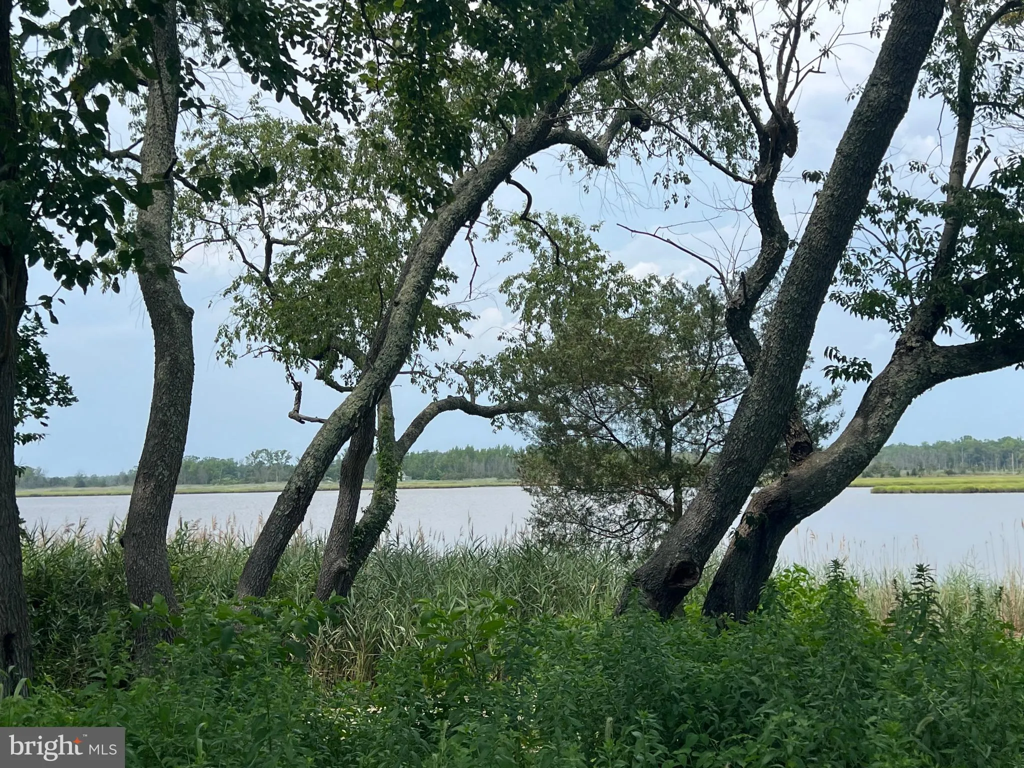 Newport, New Jersey 08345, United States, 3 Bedrooms Bedrooms, ,2 BathroomsBathrooms,Residential,Pending,182287