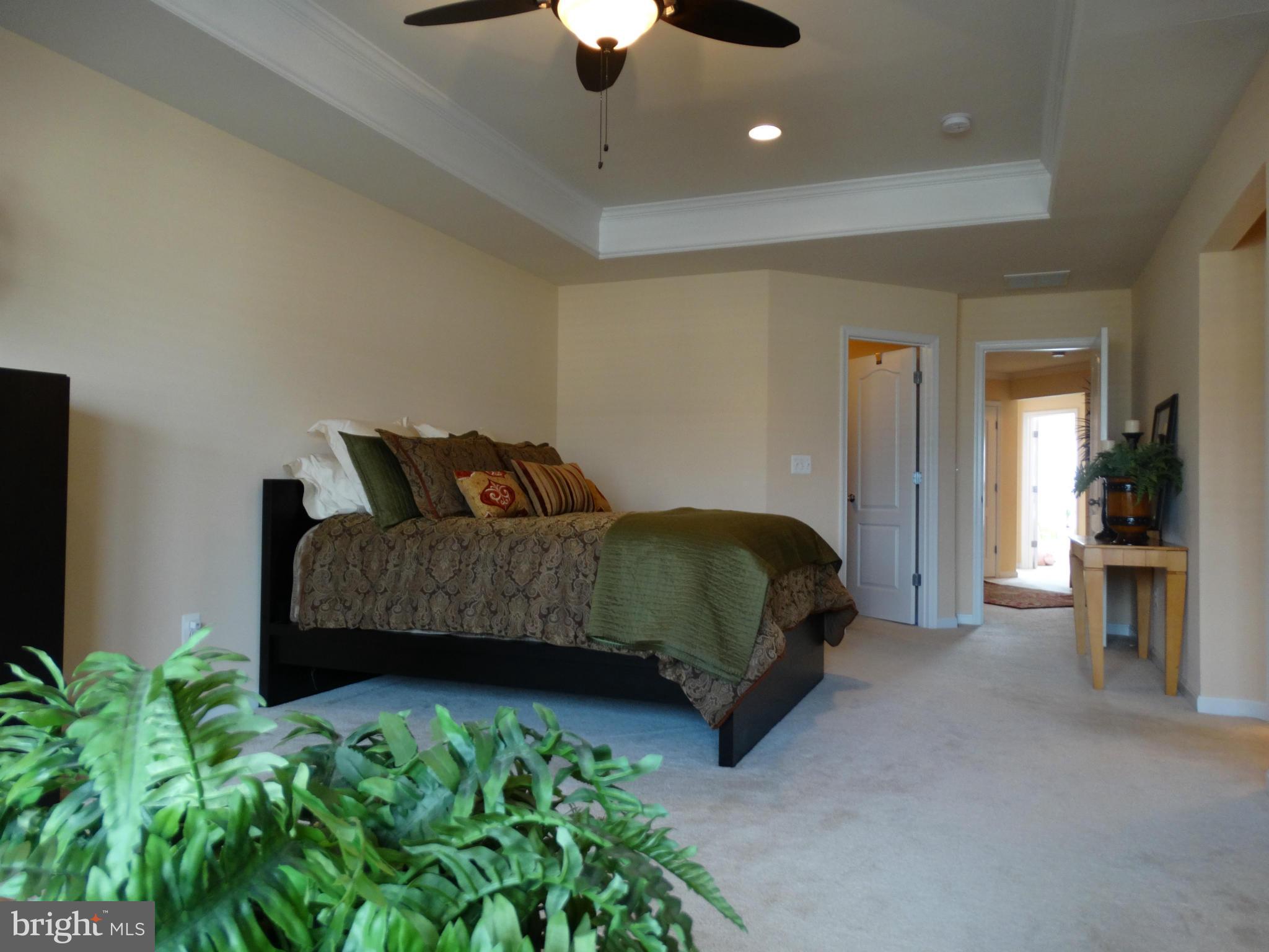 LANSDOWNE TOWN CENTER - Residential