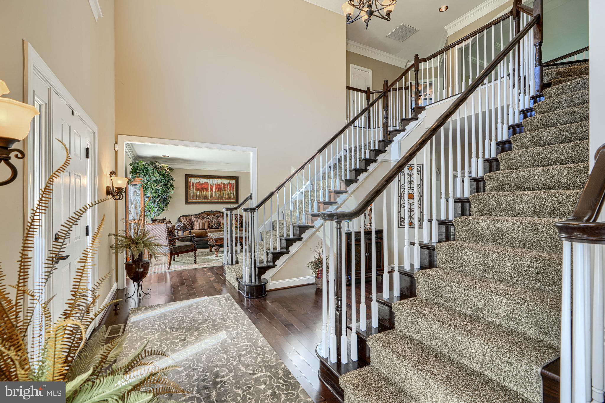 MARTIN MEADOWS - Residential