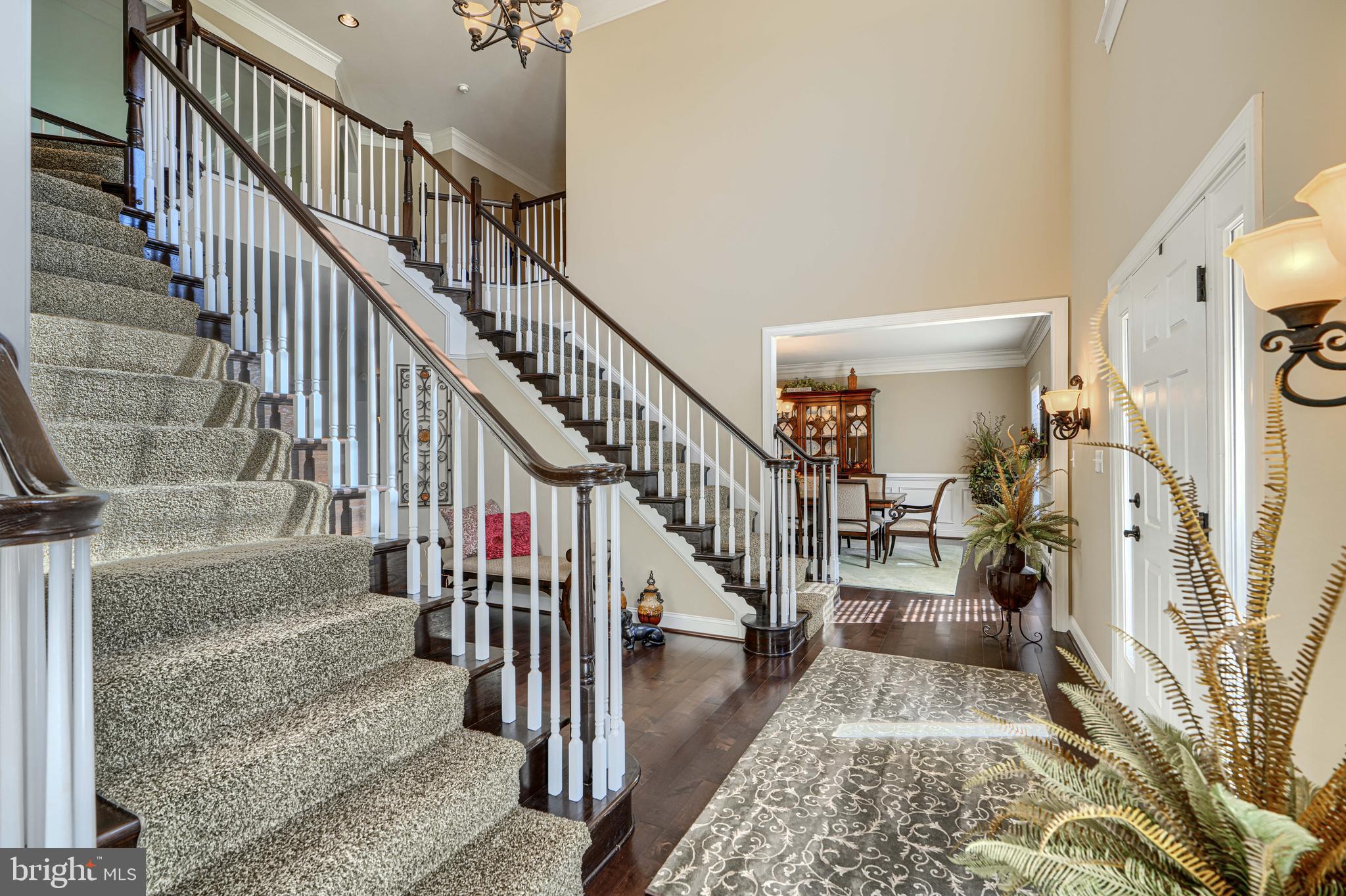 MARTIN MEADOWS - Residential