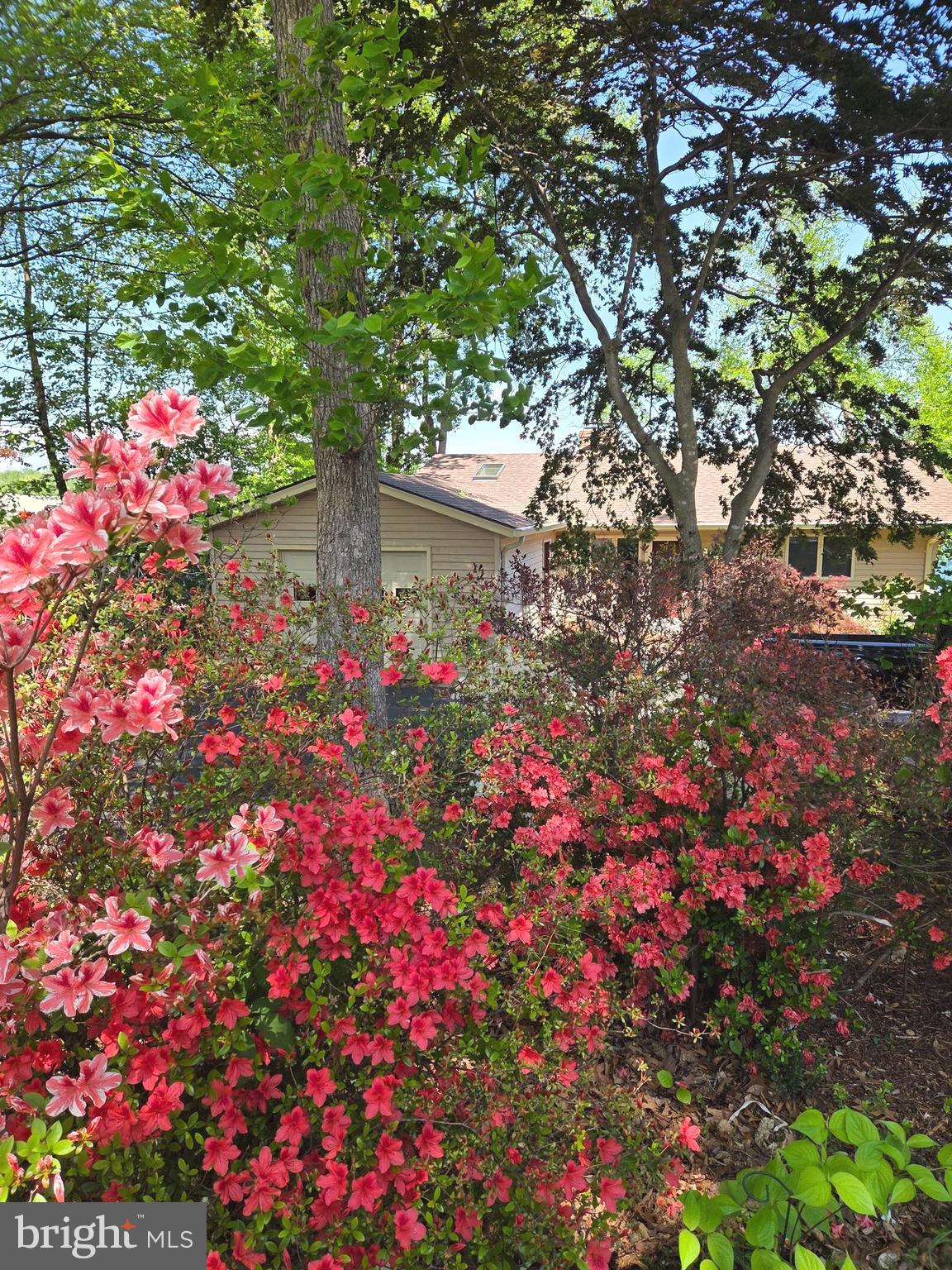 LAKE OF THE WOODS - Residential