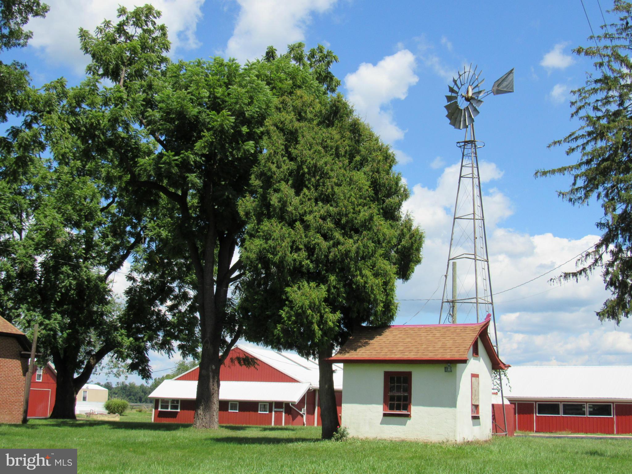 NONE AVAILABLE - Farm