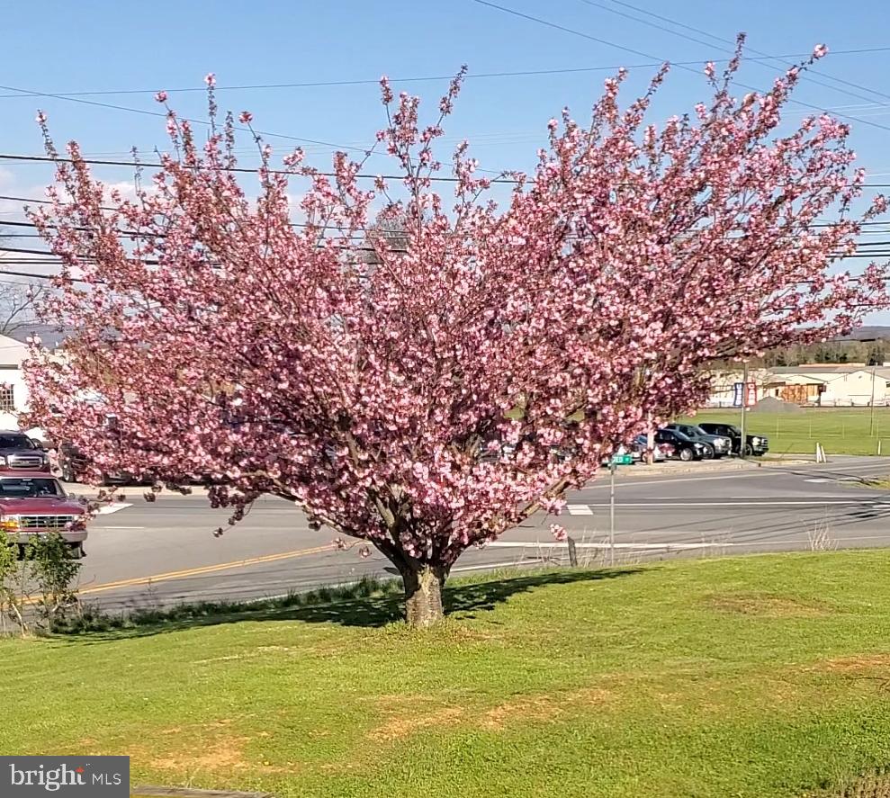ROBELEI - Residential