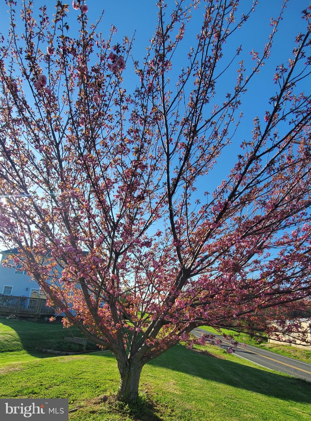 ROBELEI - Residential