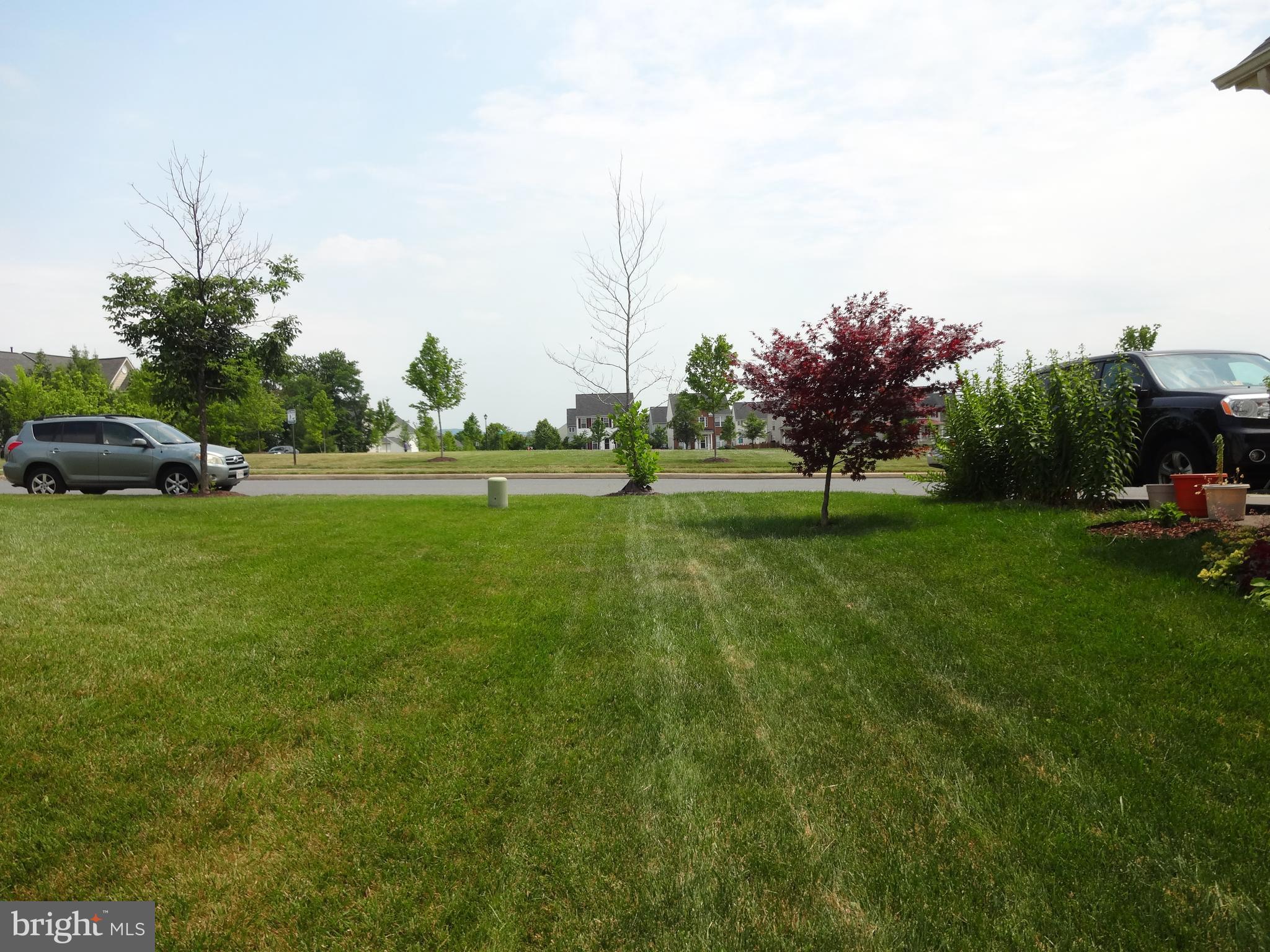 NEW TOWN MEADOWS - Residential Lease