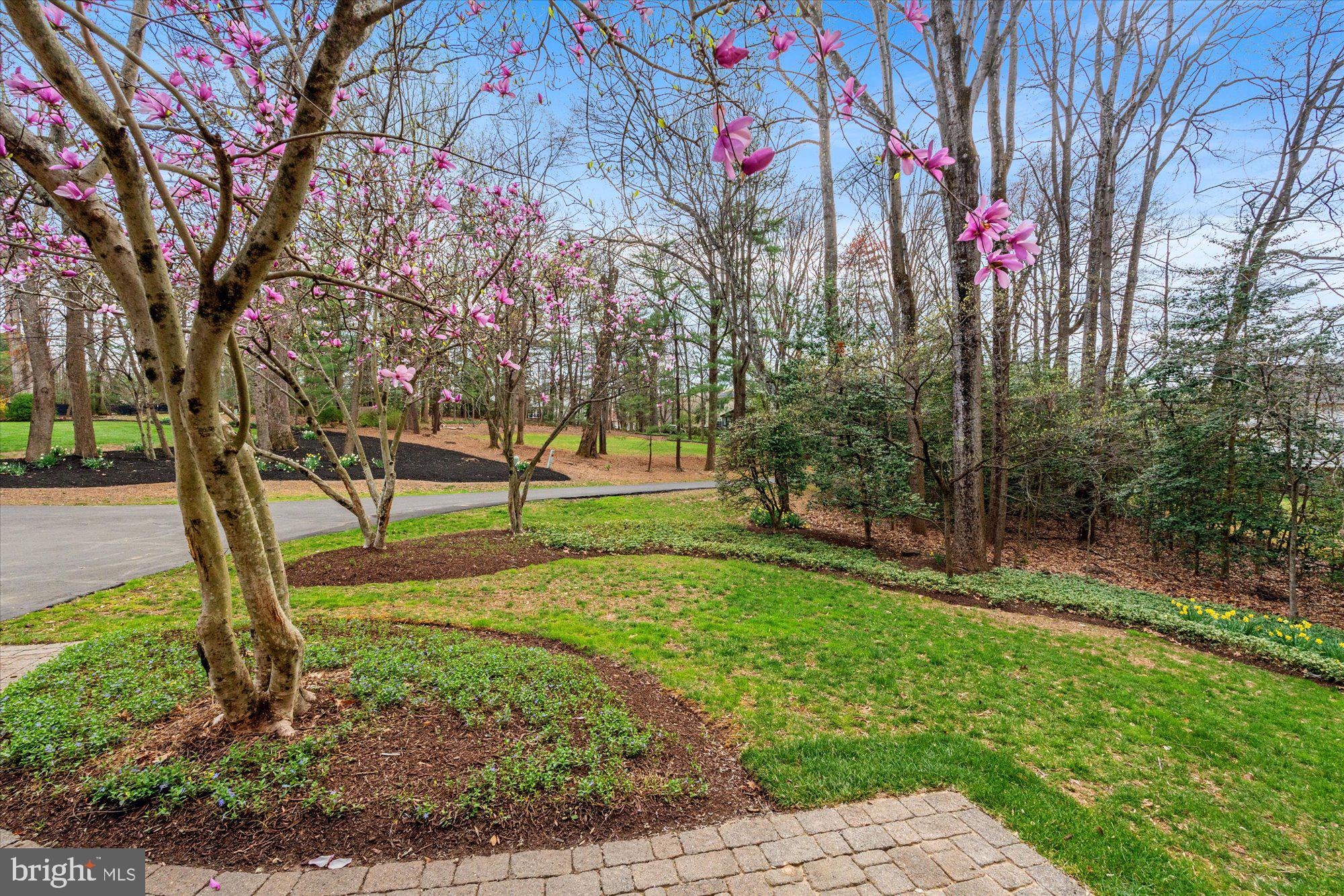 COLVIN RUN ESTATES - Residential