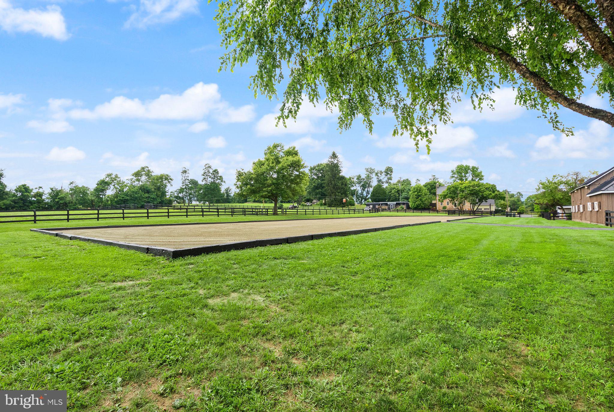 BLUEMONT - Residential