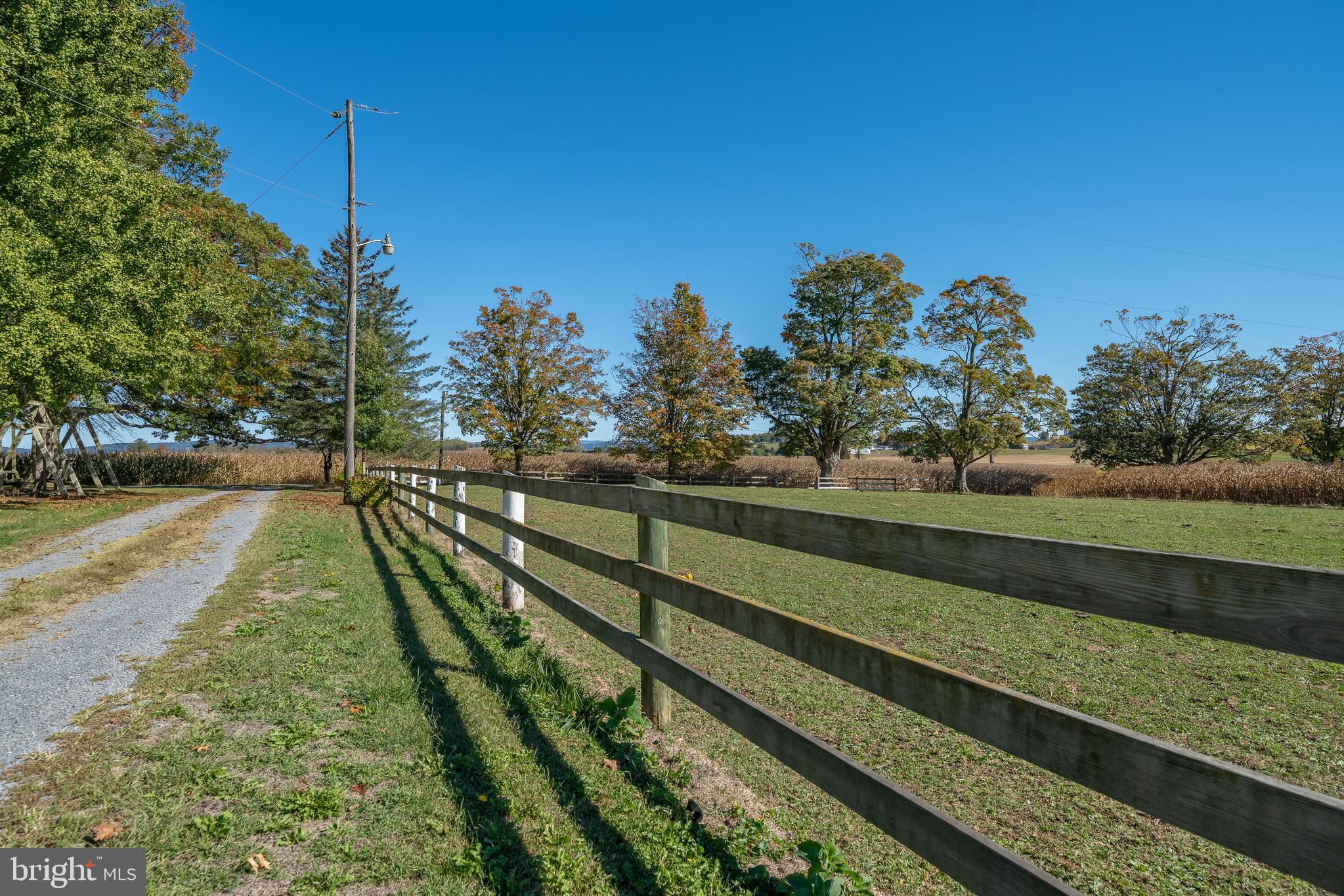 NONE AVAILABLE - Farm