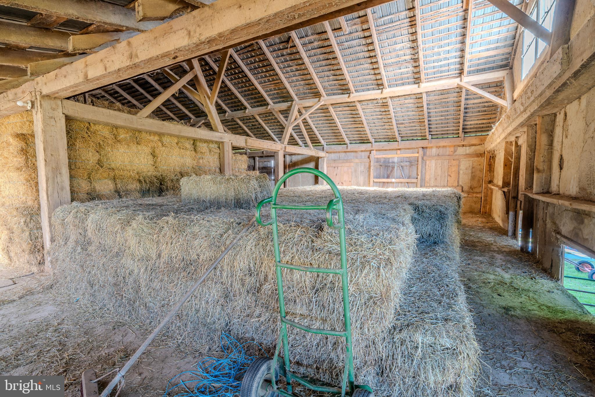 NONE AVAILABLE - Farm