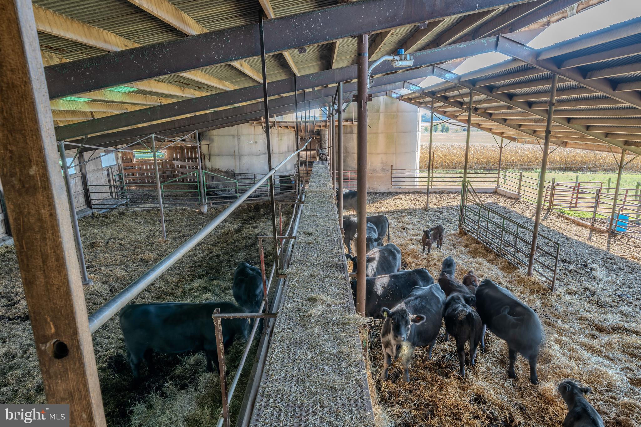 NONE AVAILABLE - Farm