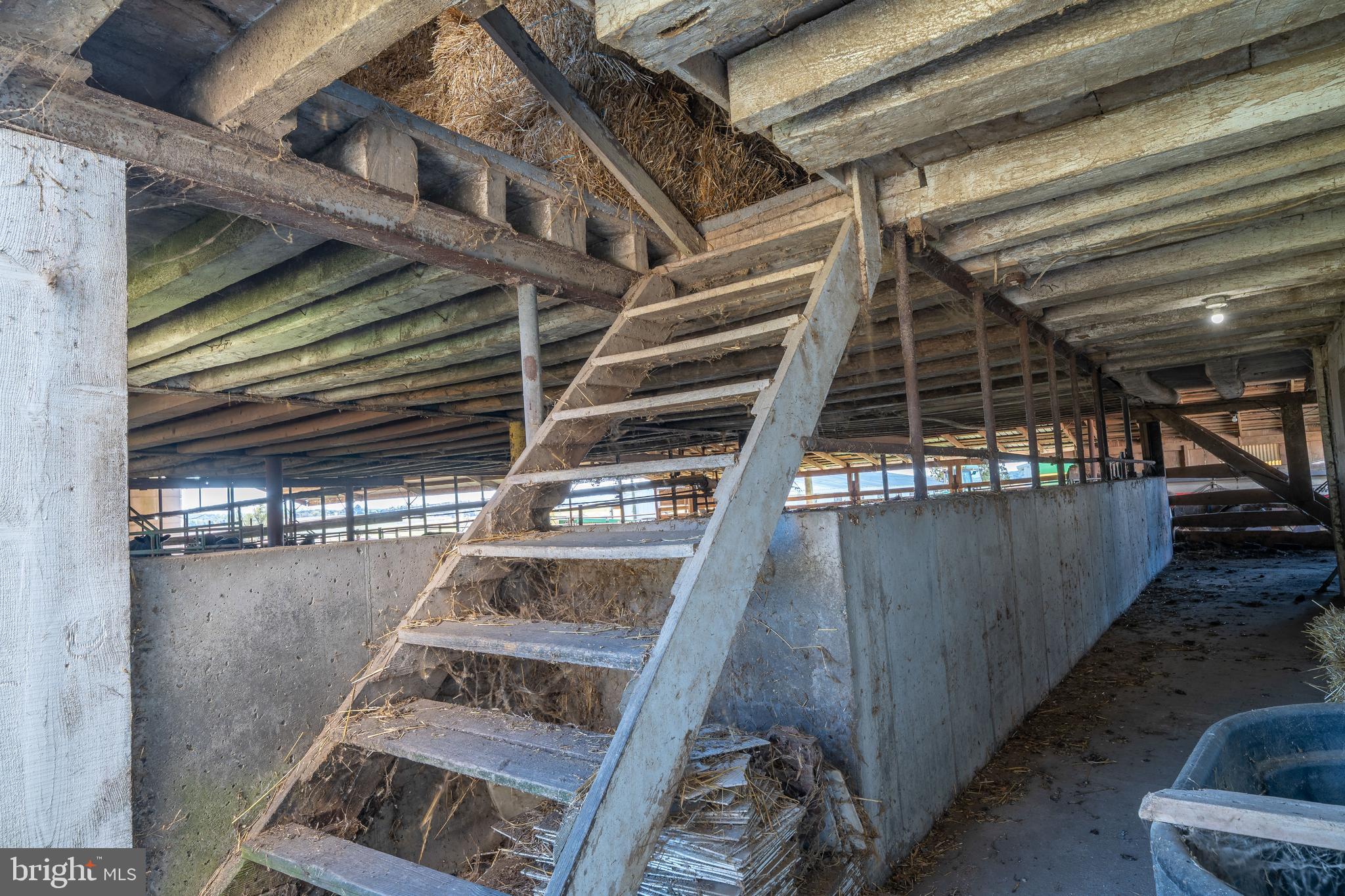 NONE AVAILABLE - Farm