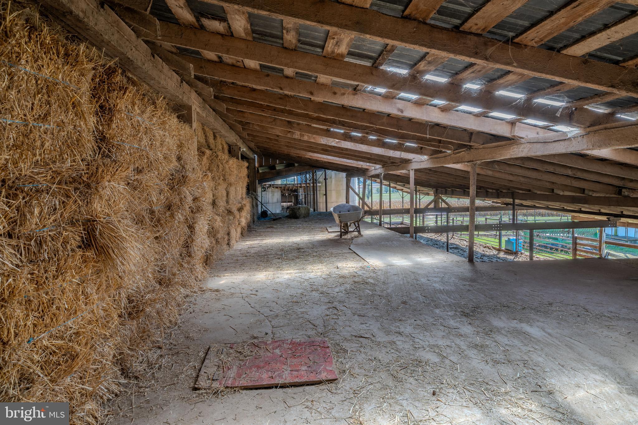 NONE AVAILABLE - Farm
