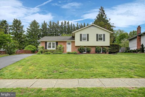 121 ALBANY AVENUE E WALKERSVILLE MD 21793