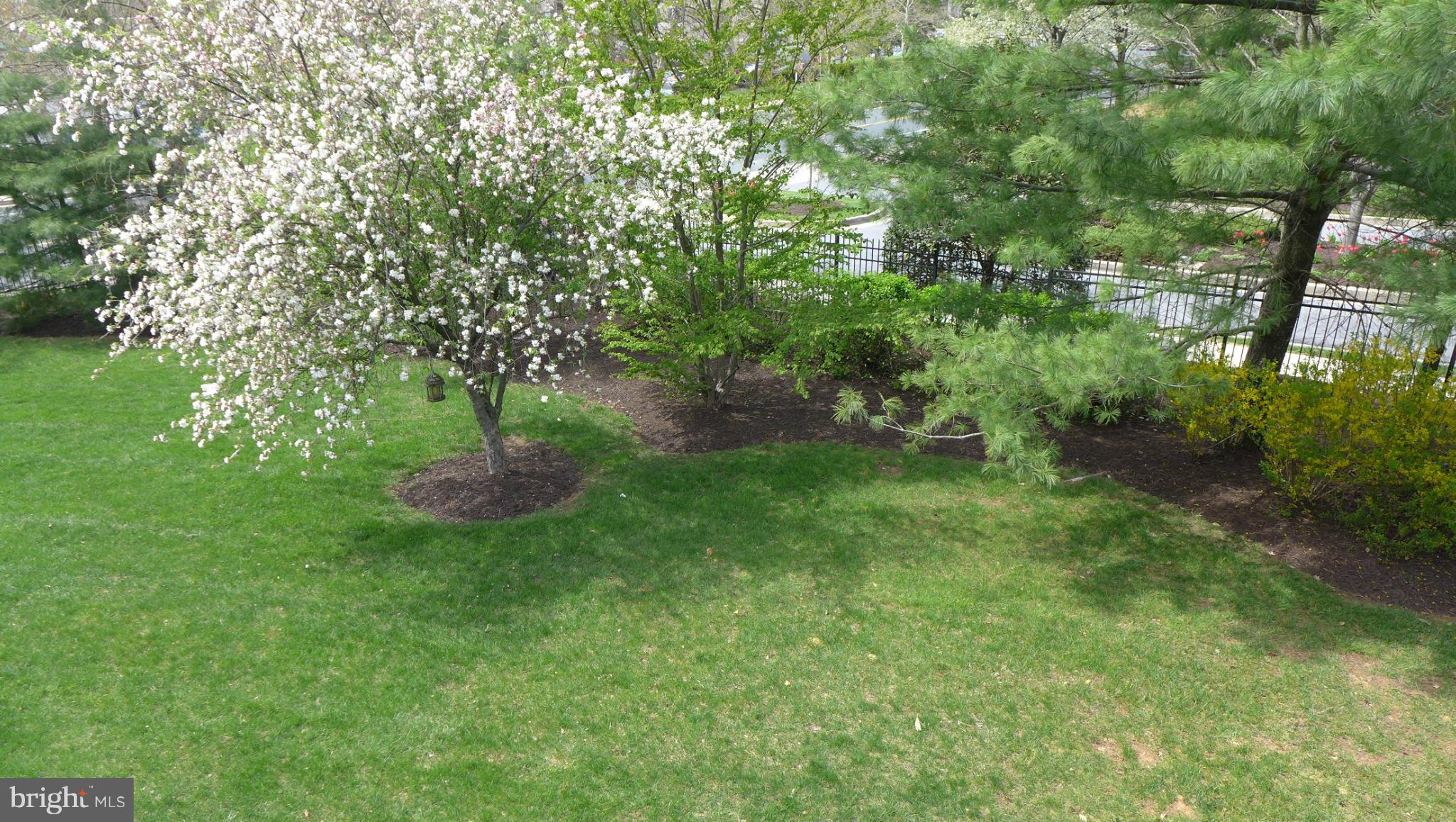 COURTYARD AT GREENE TREE - Residential