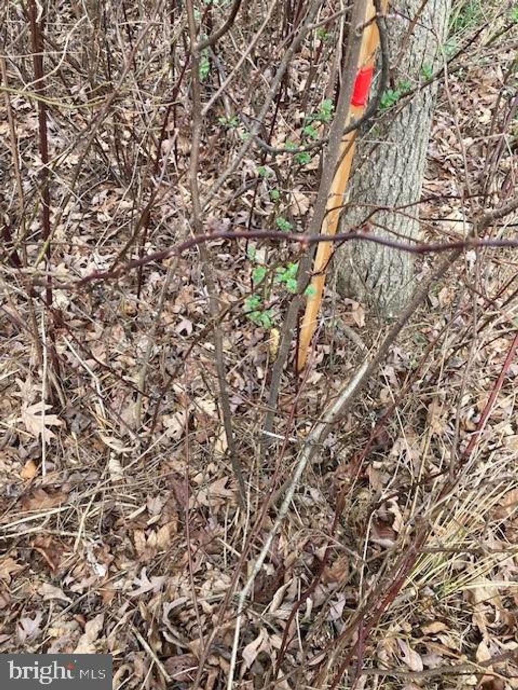 Photo of 0 Robert Fulton Highway #LOT 1, Peach Bottom, PA 17563 (MLS # PALA2048300)