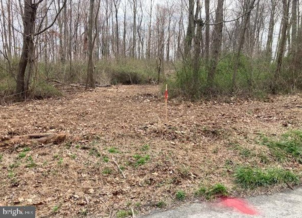 Photo of 0 Robert Fulton Highway #LOT 1, Peach Bottom, PA 17563 (MLS # PALA2048300)
