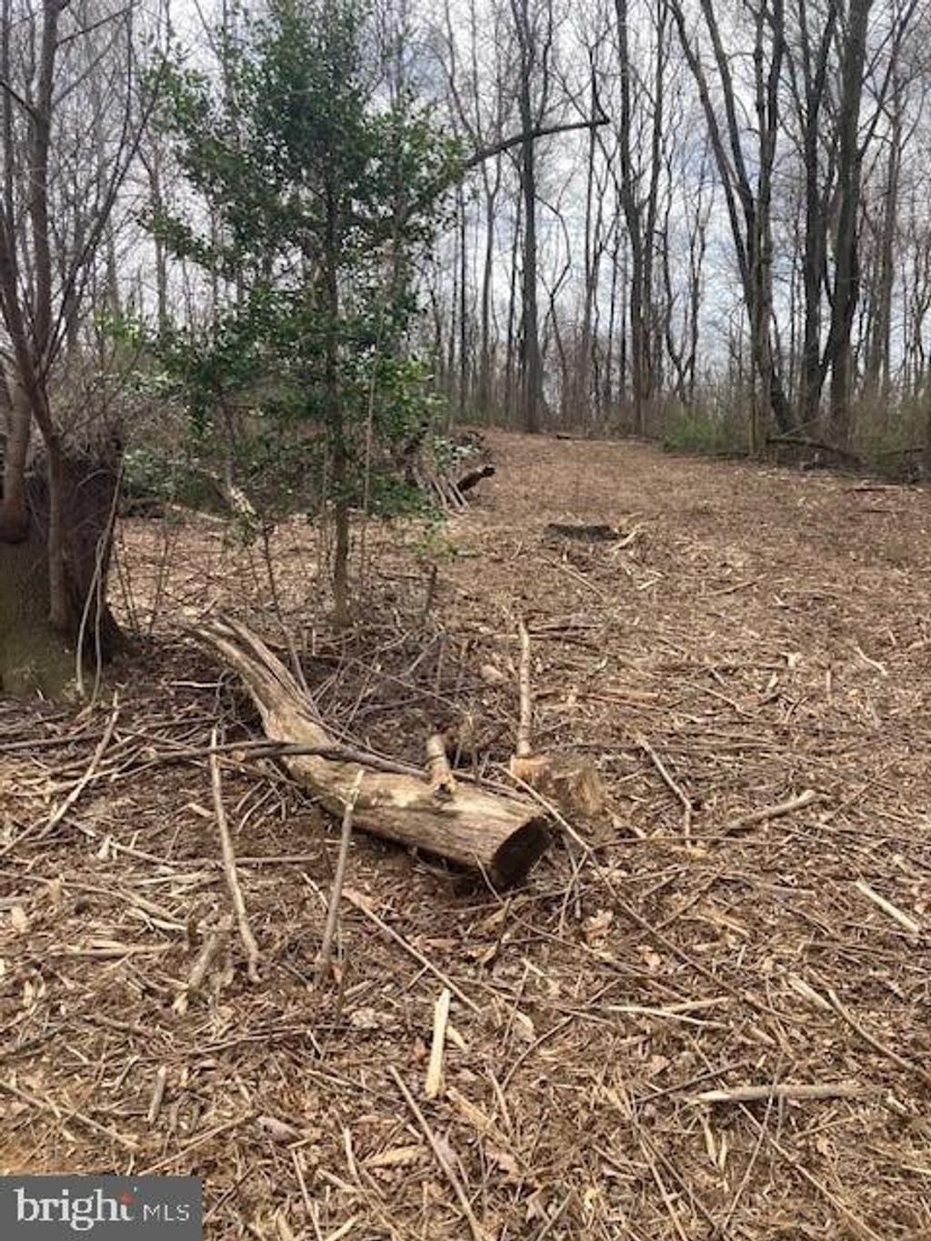 Photo of 0 Robert Fulton Highway #LOT 1, Peach Bottom, PA 17563 (MLS # PALA2048300)