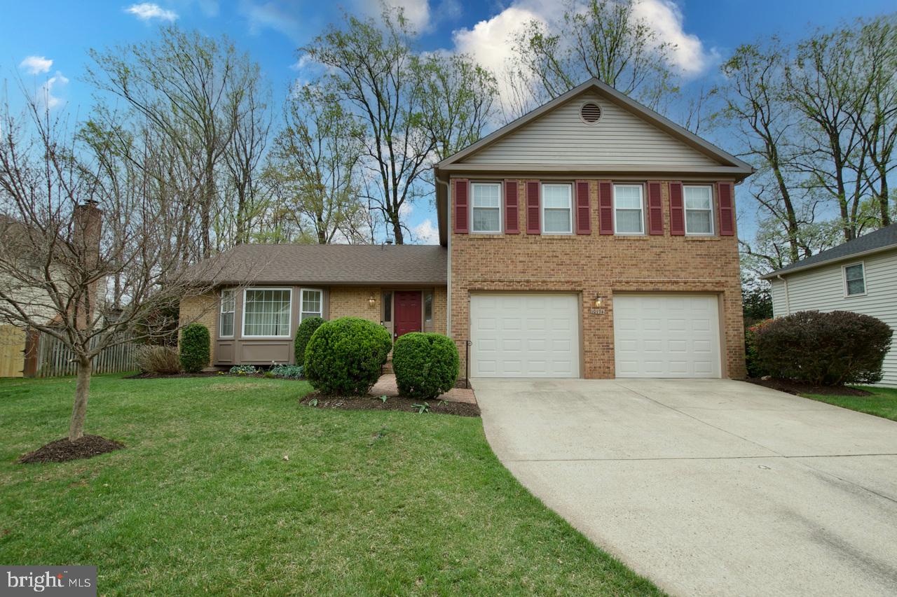 GEORGE MASON FOREST - Residential