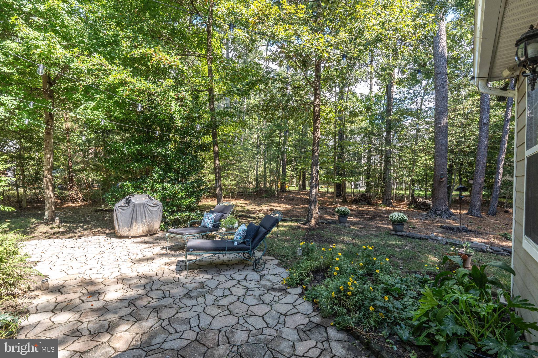 SWAN POINT - Residential Lease