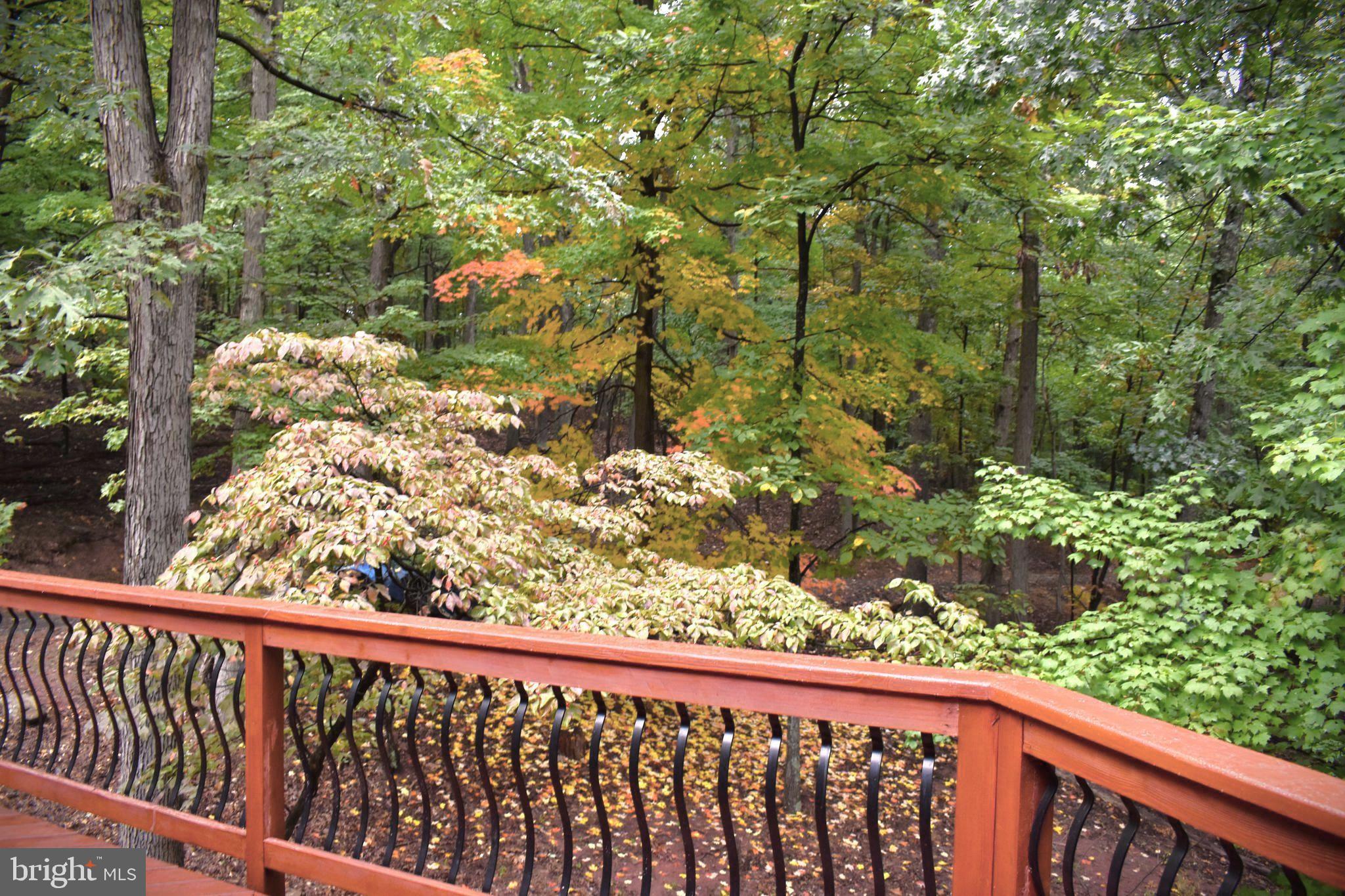 SOMERSET - Residential